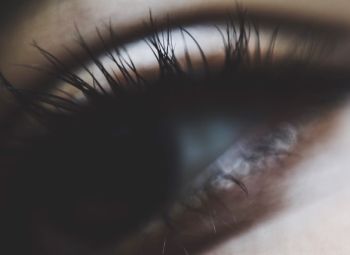 Lashify Review: The Ultimate Solution for Longer Lashes